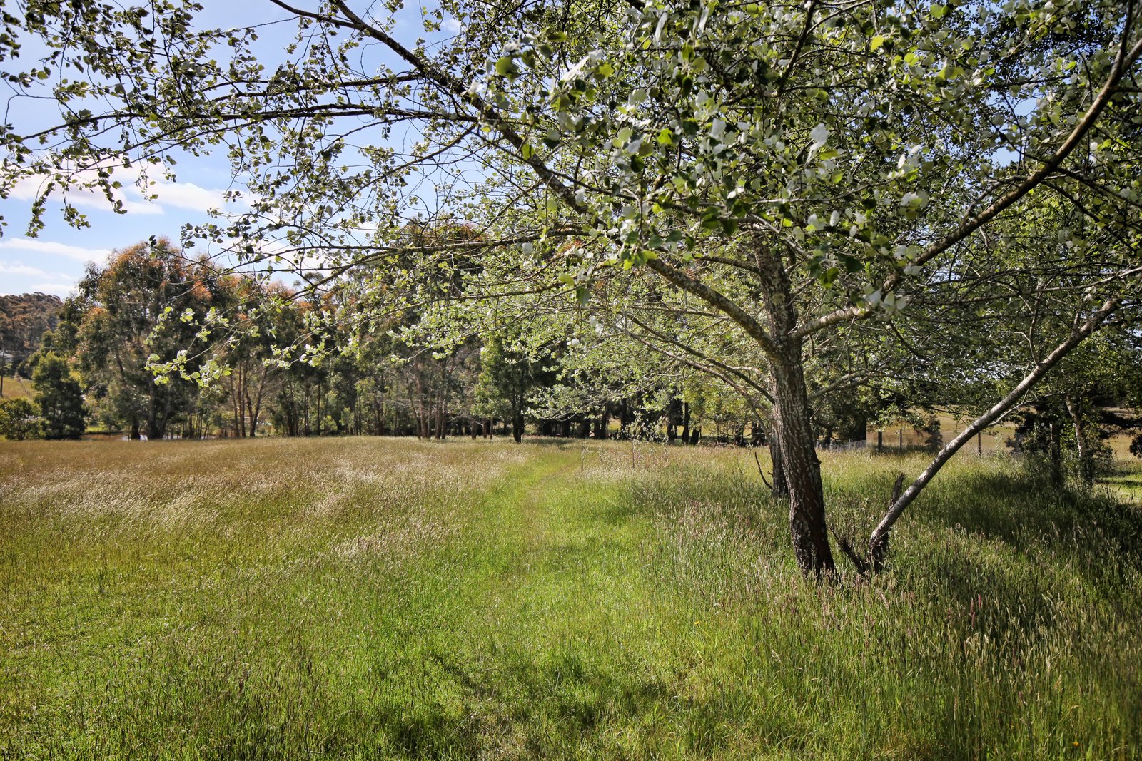 Real Estate and Property in 620 Ashbourne Road, Ashbourne, VIC