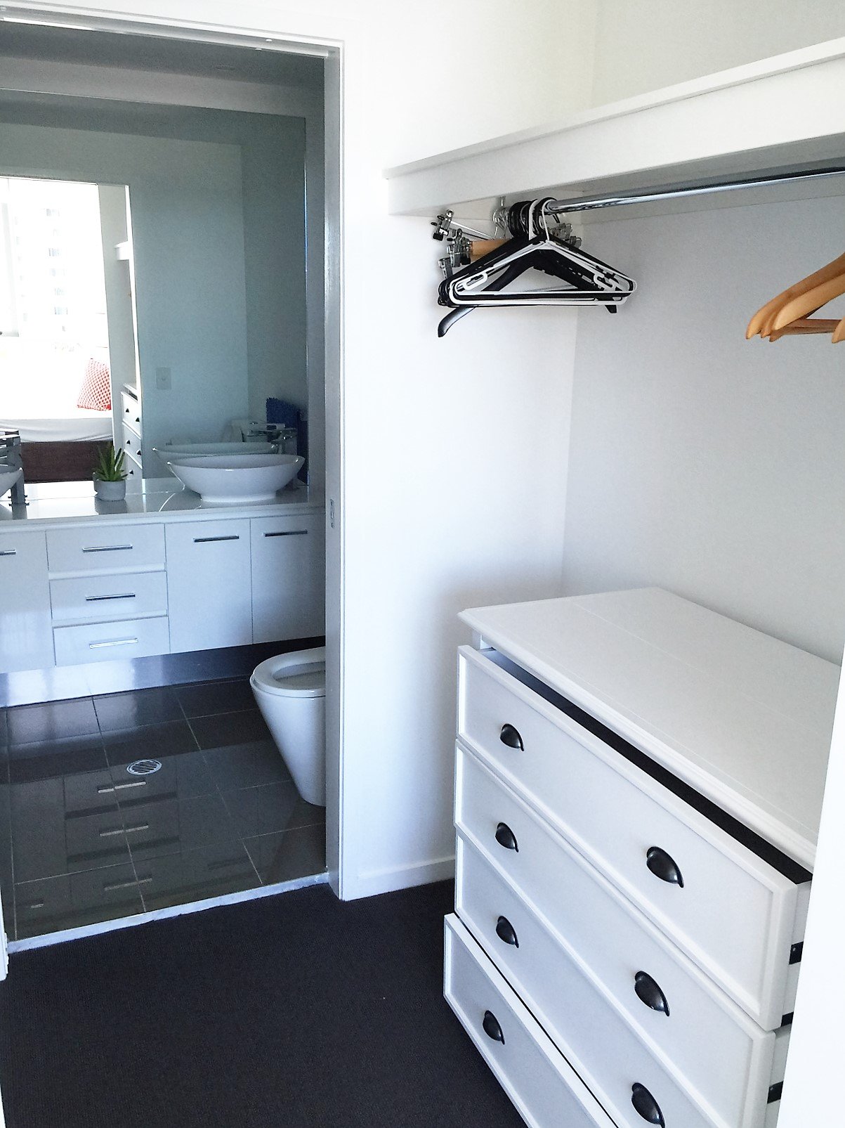 620/19 Imperial Parade LABRADOR 5