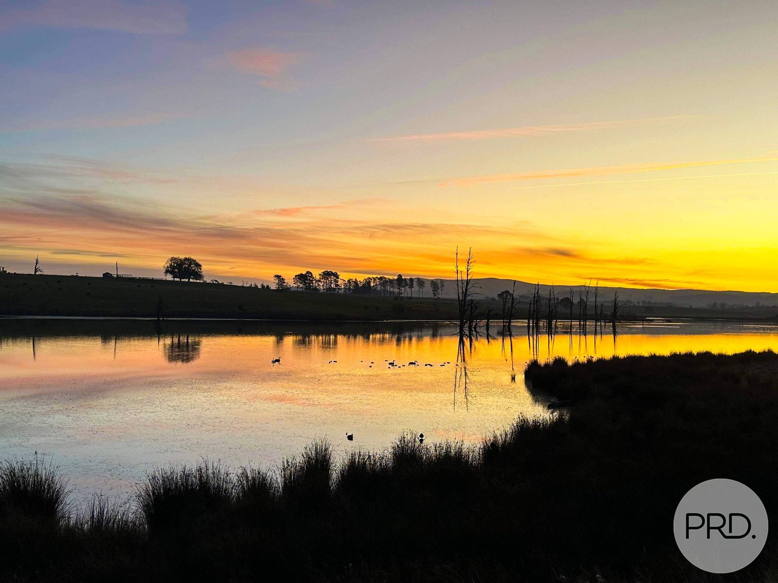 621 Mannus Lake Road TUMBARUMBA 1