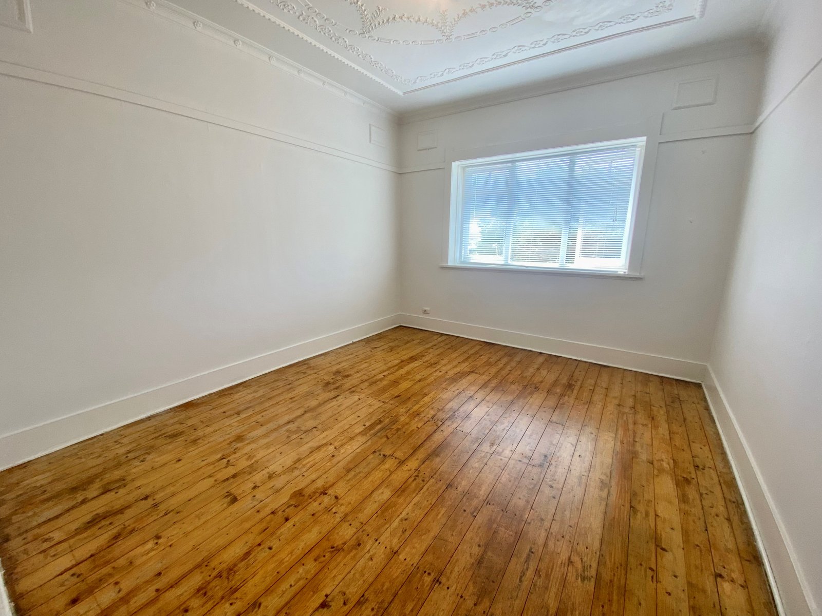 6/23 Cooper Street PADDINGTON 2