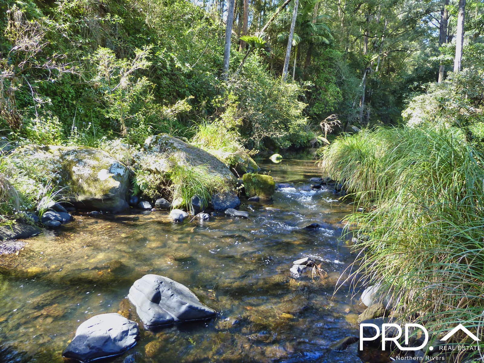 626 Horseshoe Creek Road KYOGLE 2