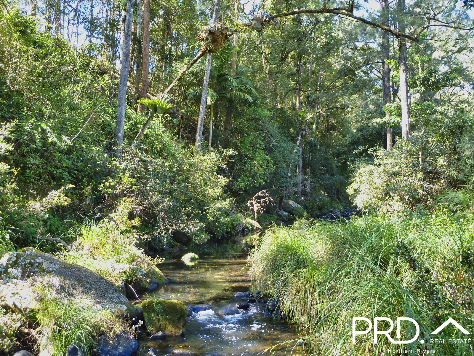 626 Horseshoe Creek Road KYOGLE 21