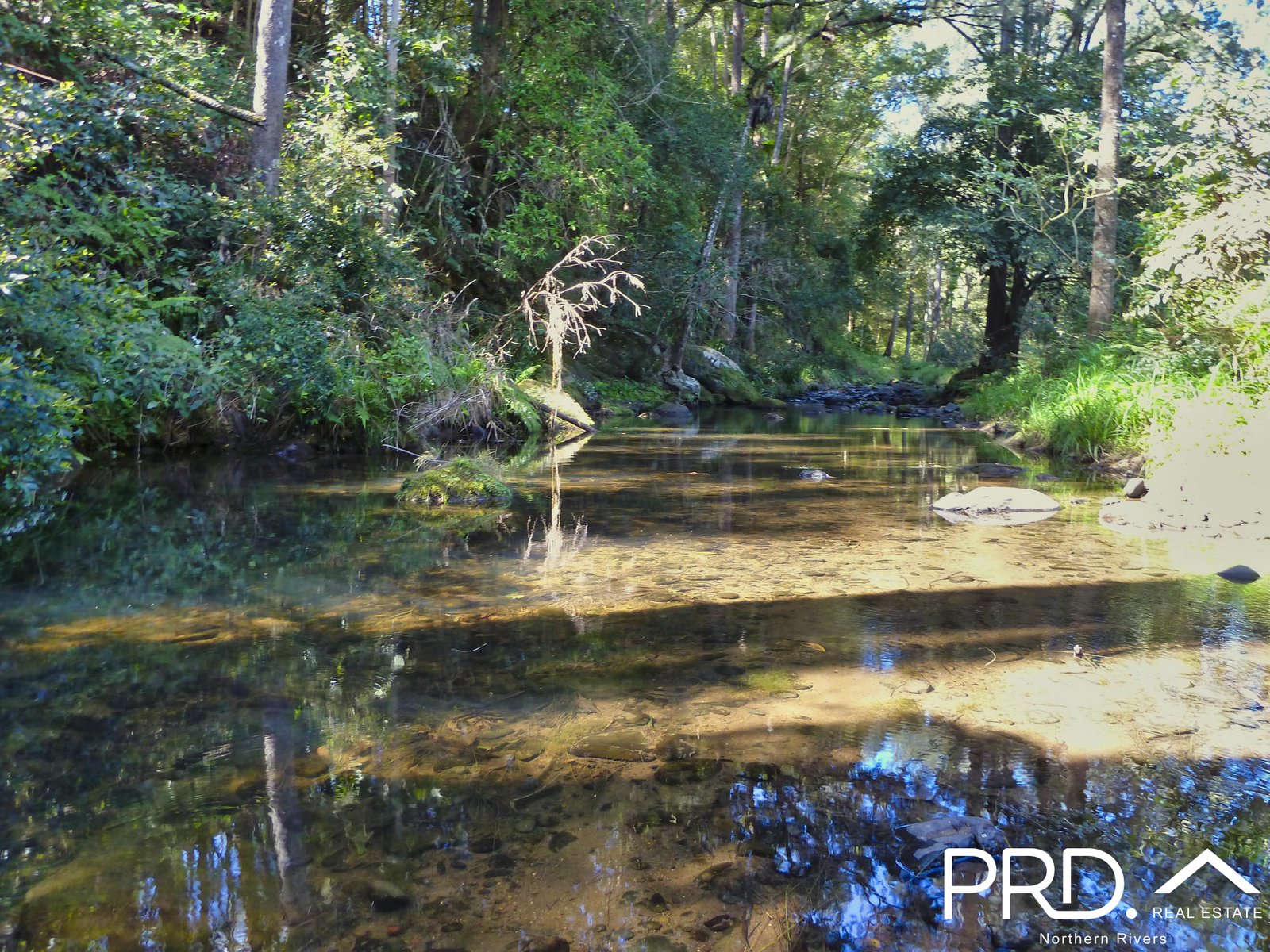 626 Horseshoe Creek Road KYOGLE 22