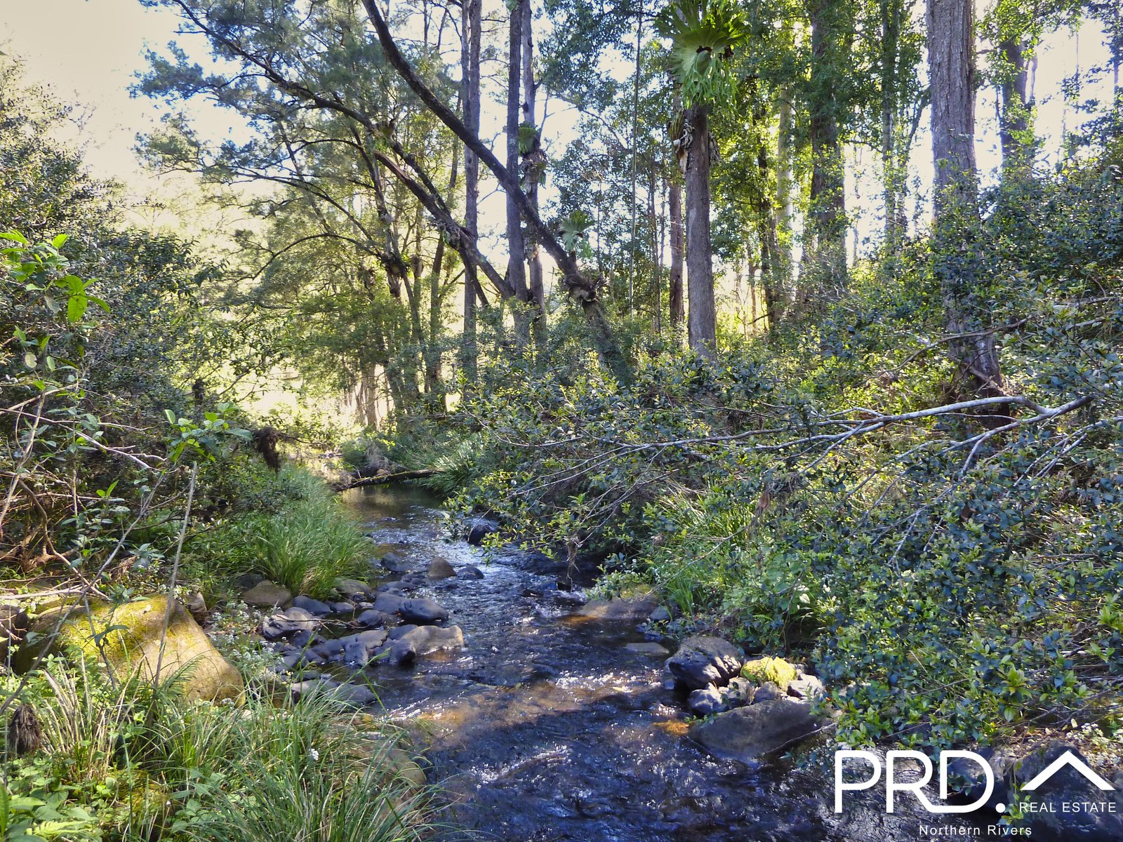 626 Horseshoe Creek Road KYOGLE 23