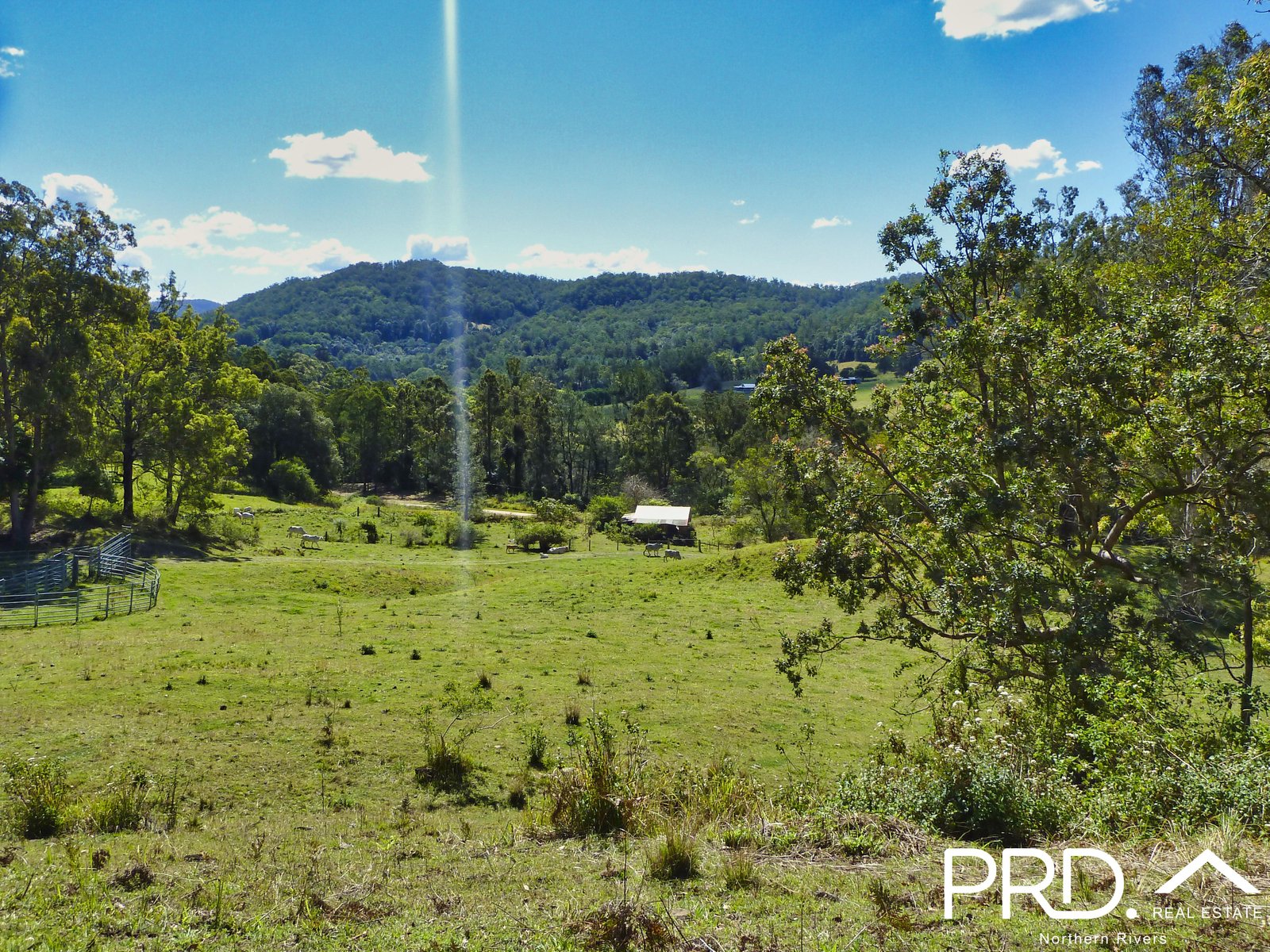 626 Horseshoe Creek Road KYOGLE 24