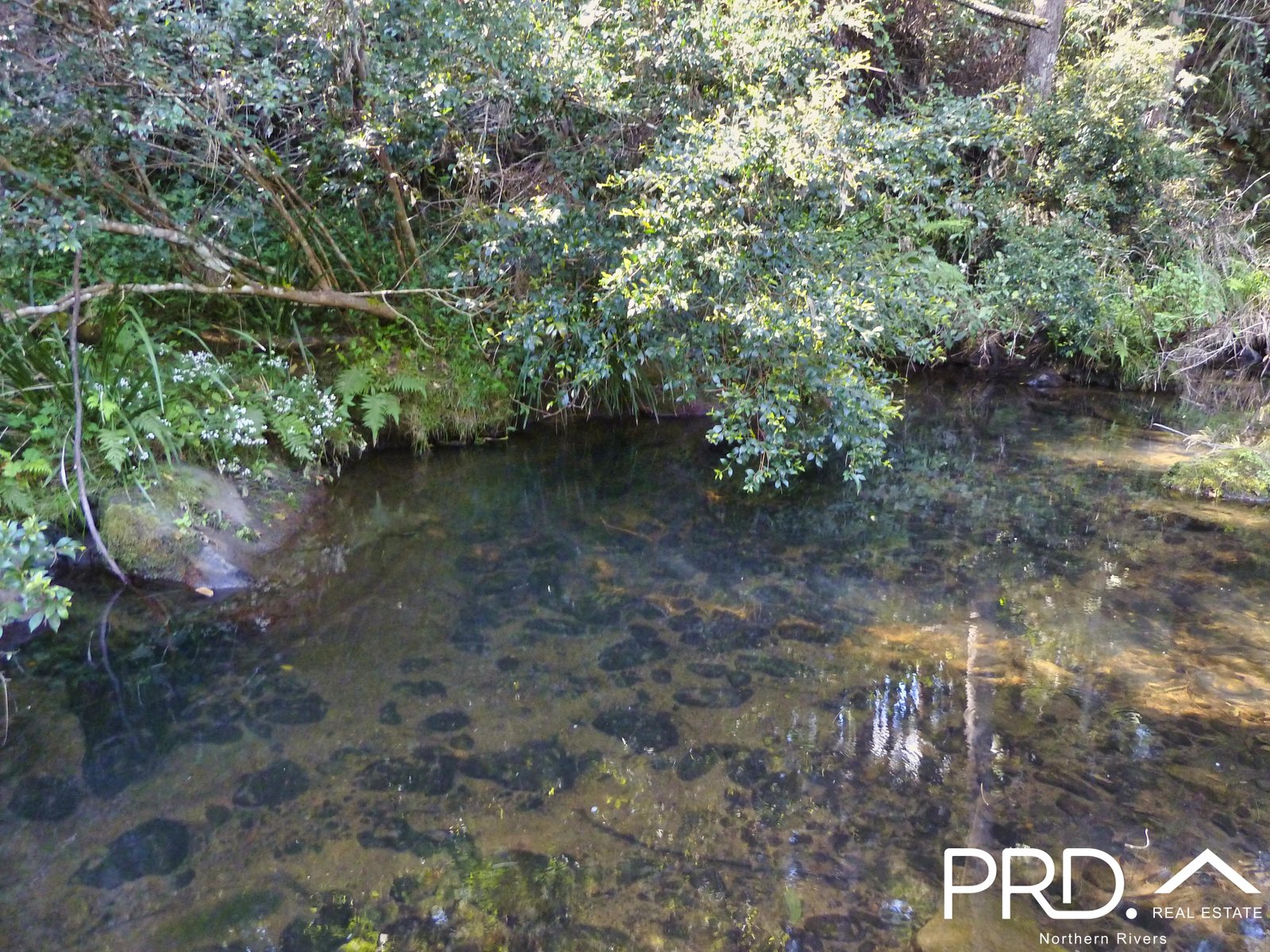626 Horseshoe Creek Road KYOGLE 25