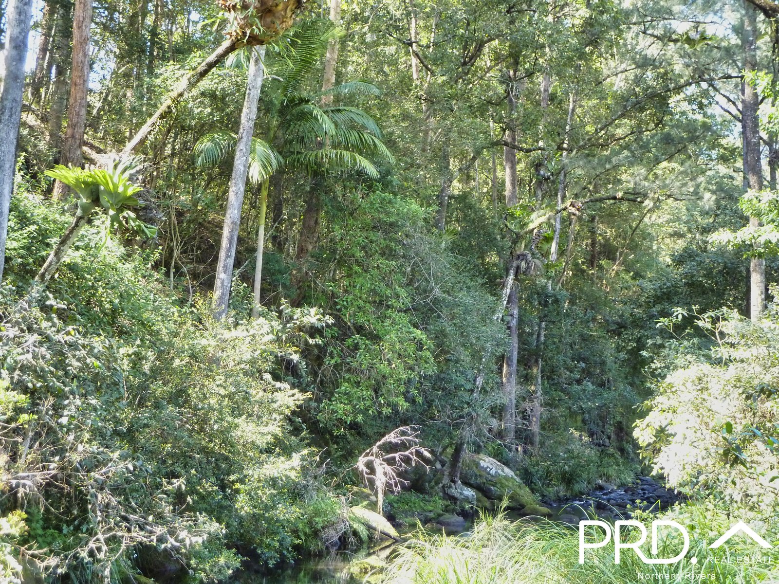 626 Horseshoe Creek Road KYOGLE 27