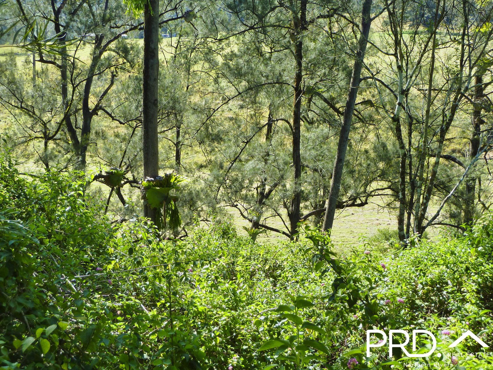 626 Horseshoe Creek Road KYOGLE 28