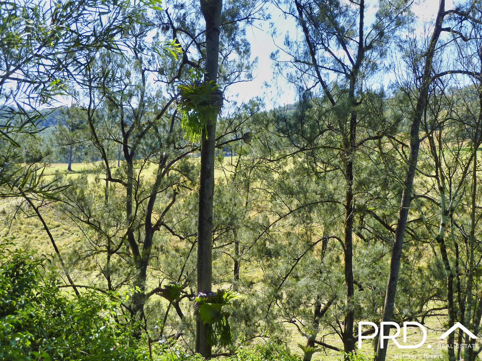 626 Horseshoe Creek Road KYOGLE 29