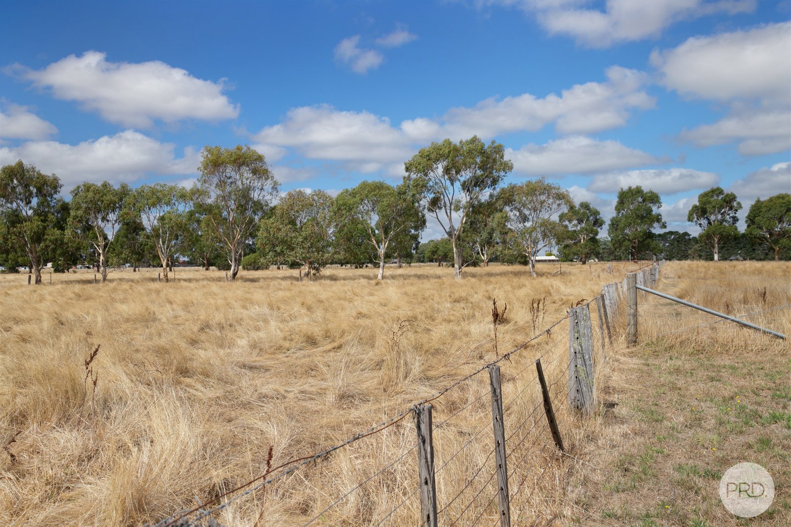 627 Dowling Road CARDIGAN 17