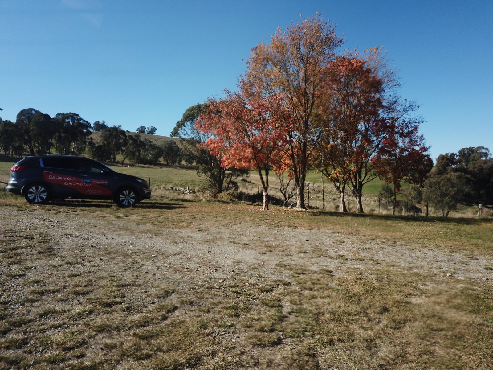 629 Taradale Road TUMBARUMBA 3