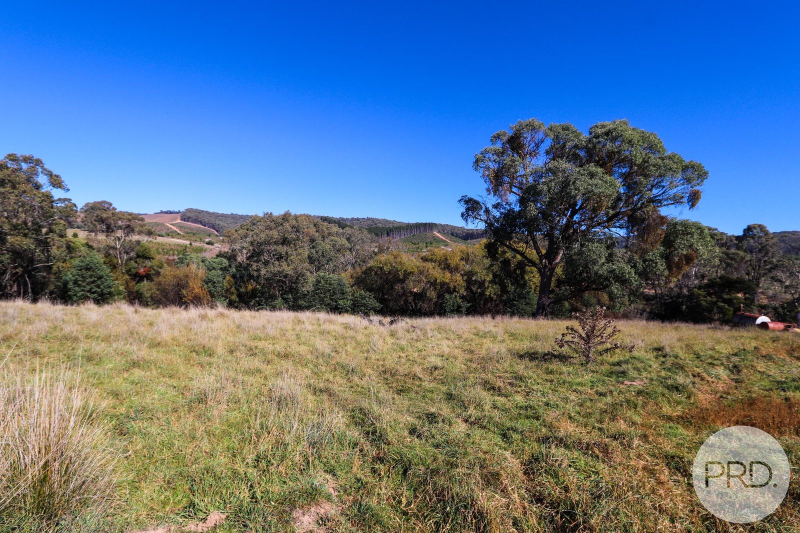 629 Taradale Road TUMBARUMBA 18