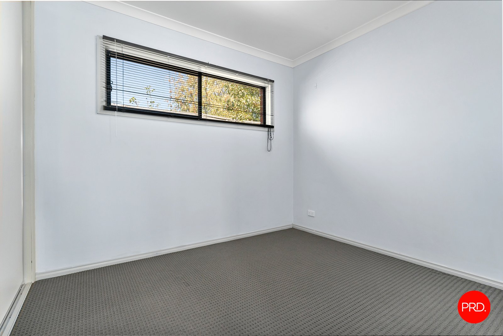 62a Nelson Street CALIFORNIA GULLY 3