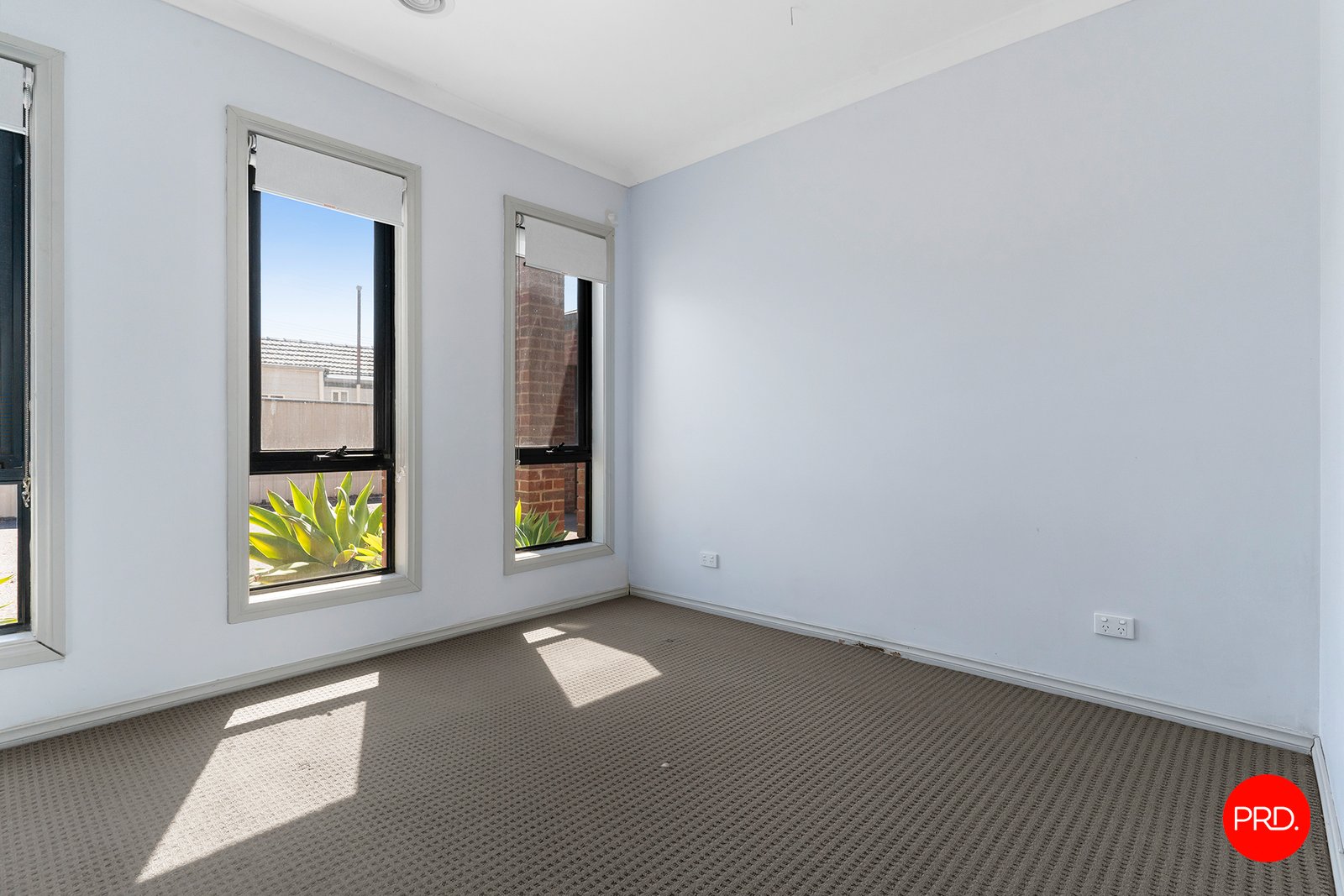 62a Nelson Street CALIFORNIA GULLY 7