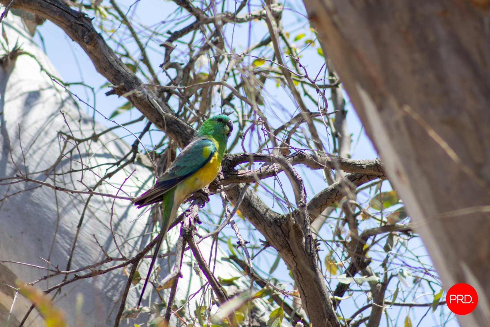 63 Blacksmiths Lane MIA MIA 15