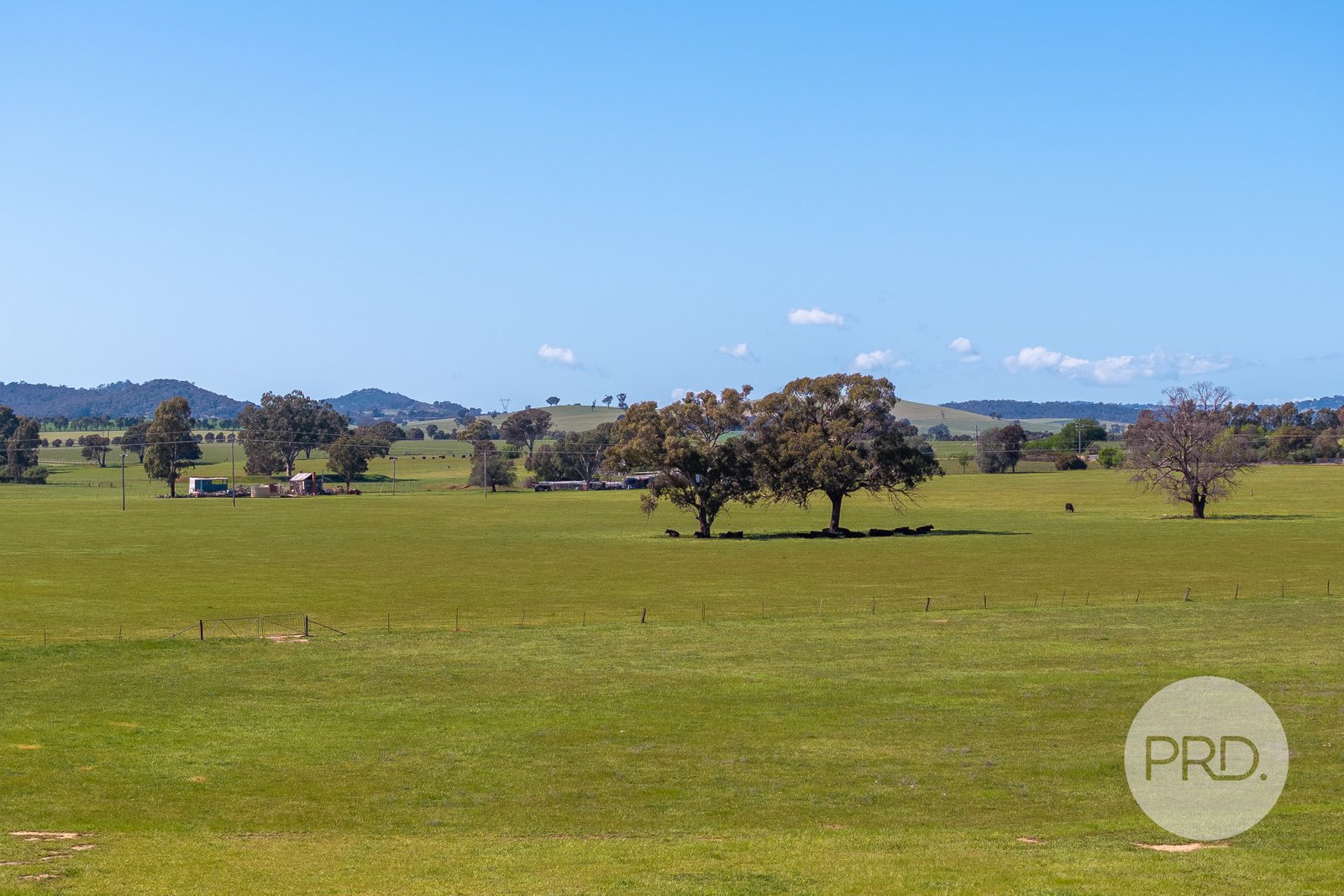 63 Connorton Street URANQUINTY 30