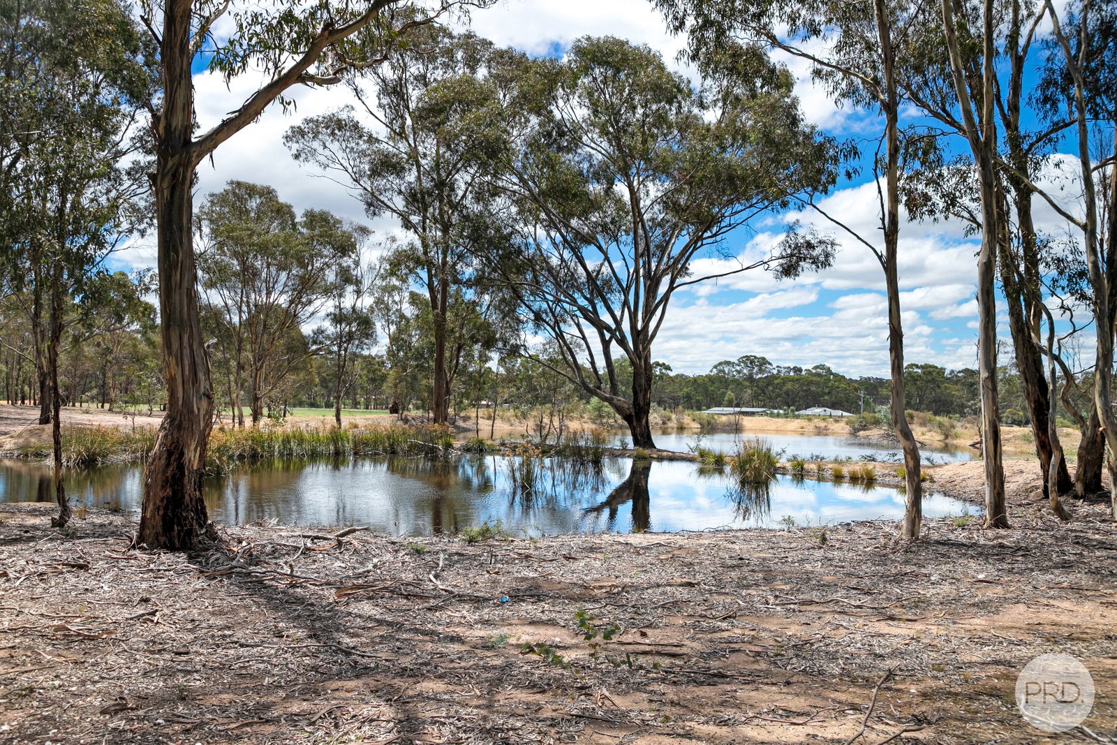 63 Crameri Road CARISBROOK 18