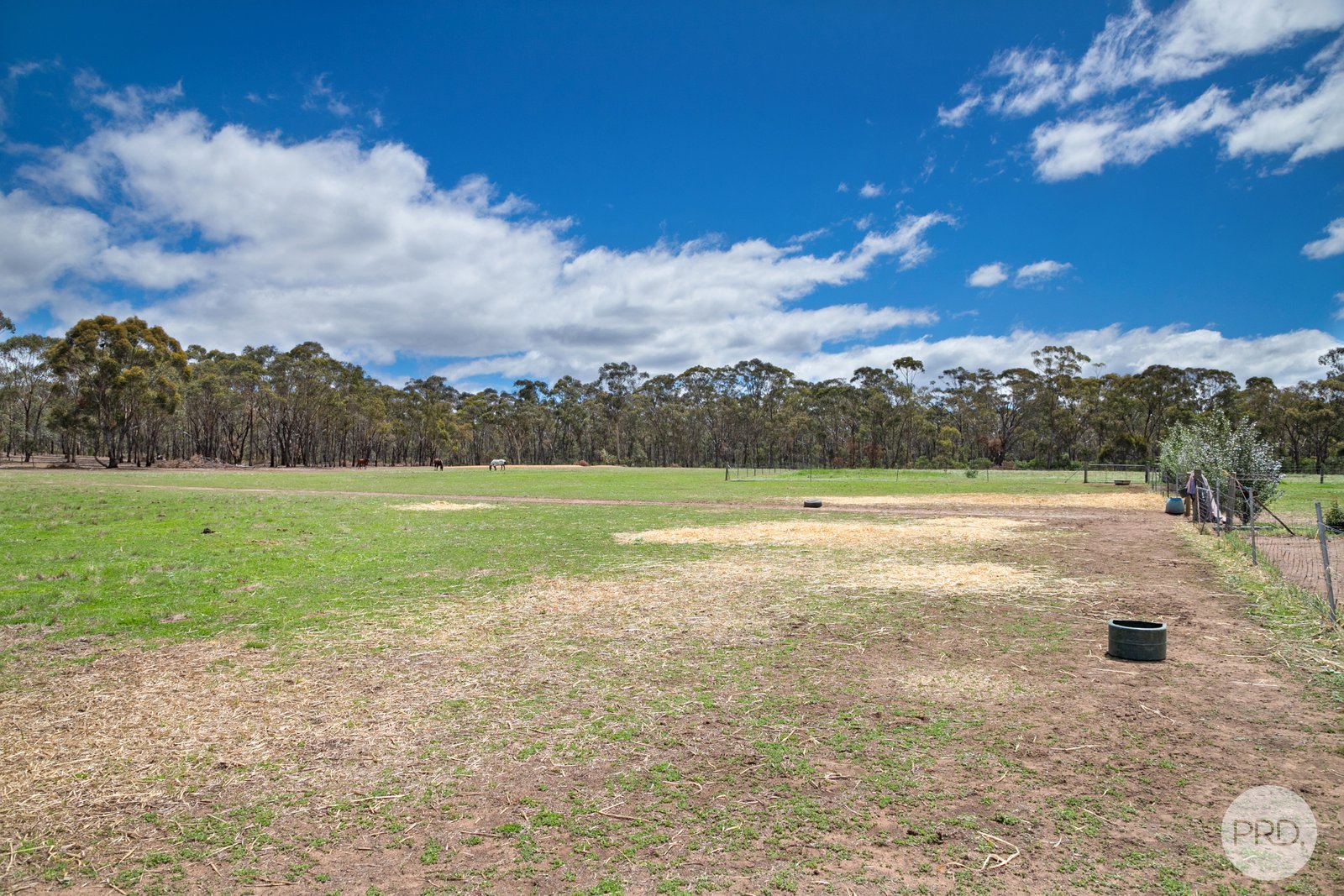 63 Crameri Road CARISBROOK 21