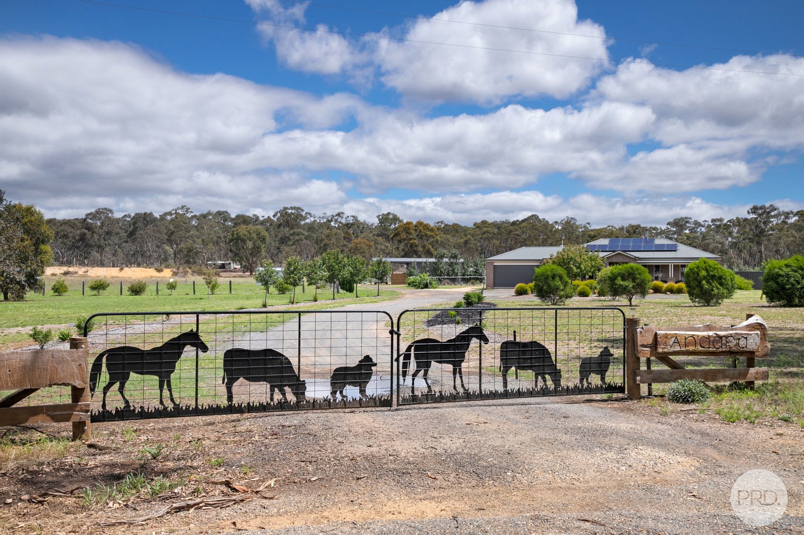 63 Crameri Road CARISBROOK 26
