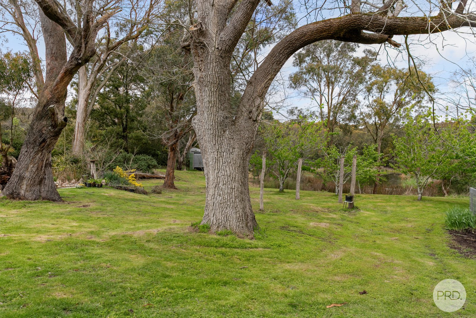 63 Egerton-Ballark Road MOUNT EGERTON 15