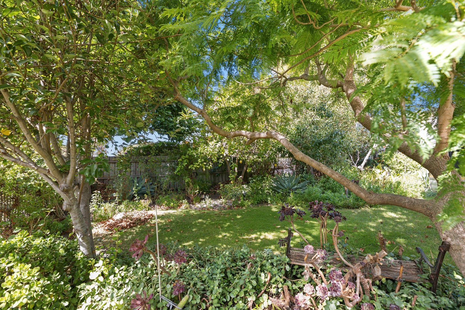 Real Estate and Property in 63 Harvey Road, St Leonards, VIC