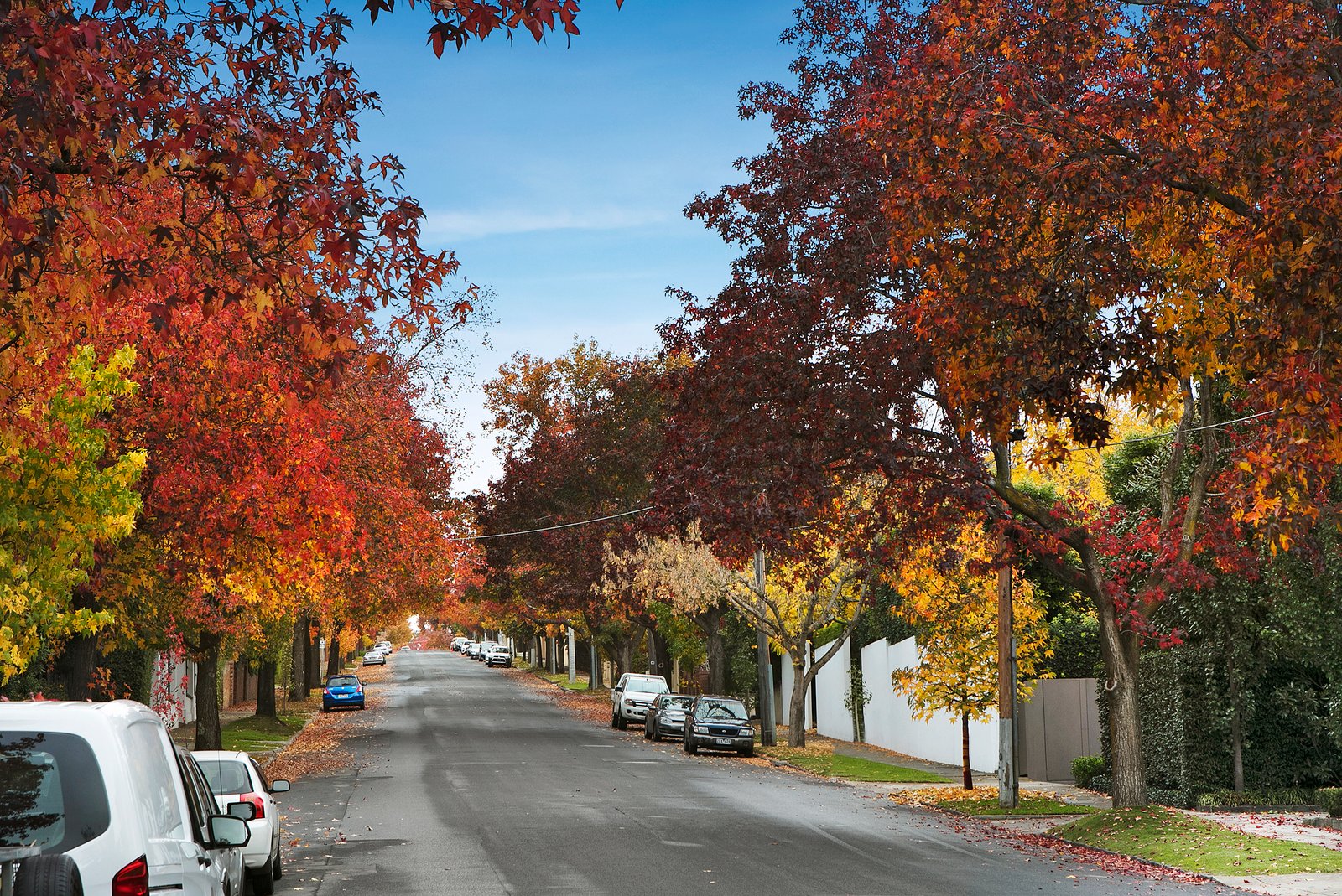 Real Estate and Property in 63 Hopetoun Road, Toorak, VIC