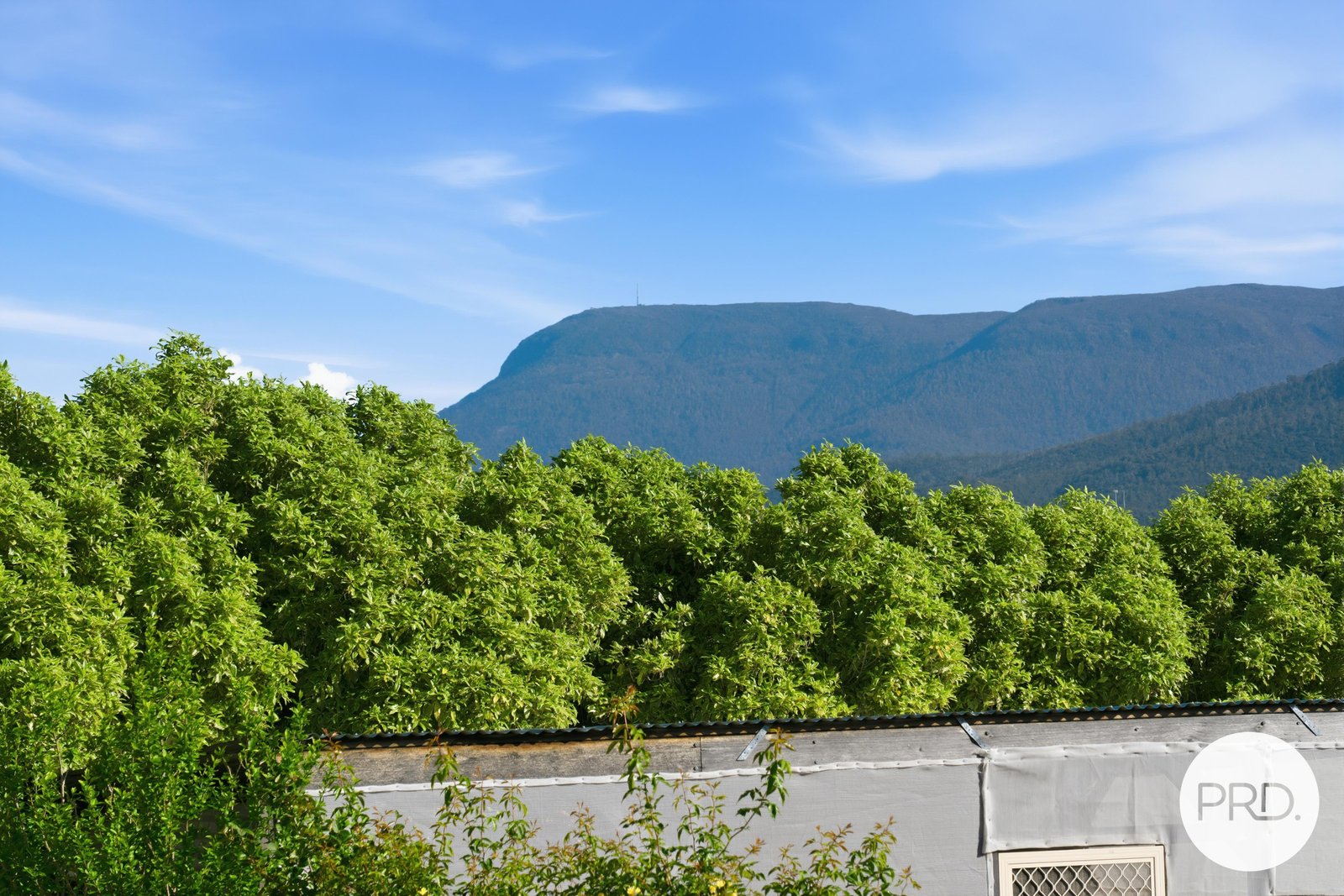 6/3 Willow Walk AUSTINS FERRY 13