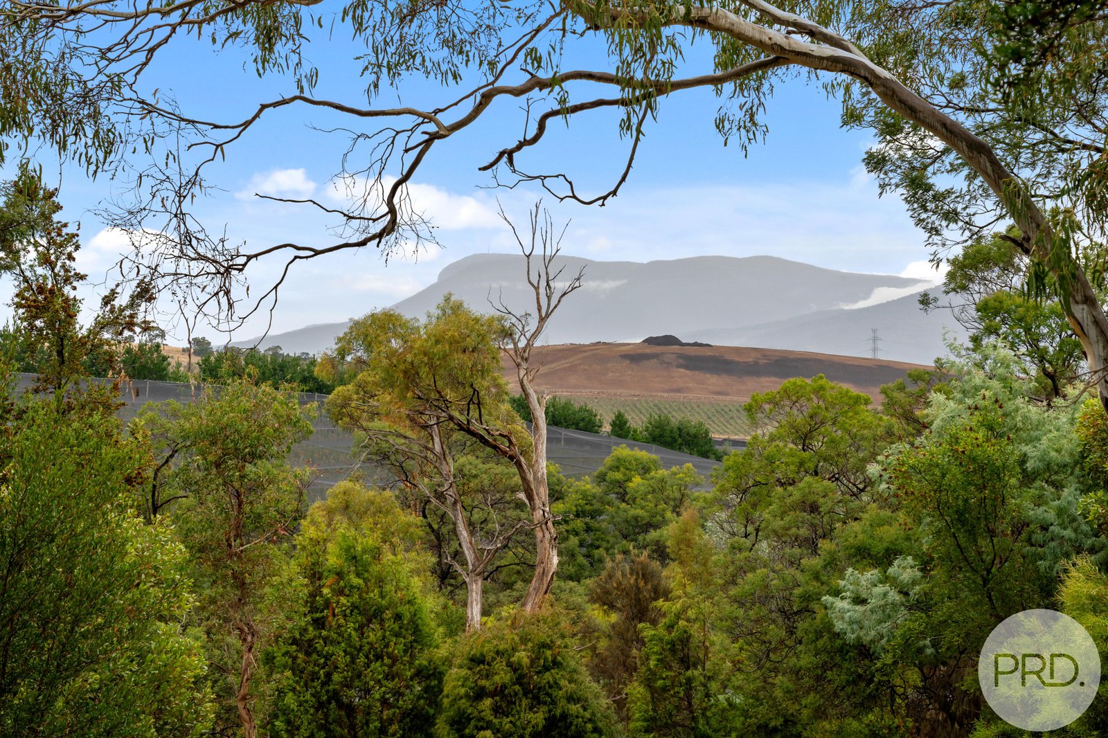 630 Baskerville Road OLD BEACH 12