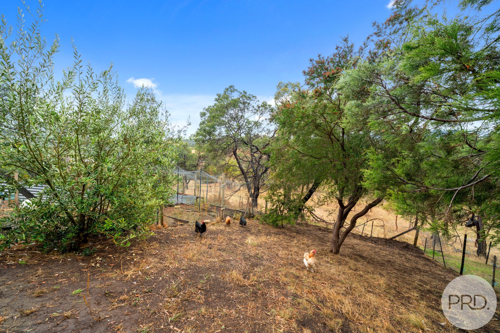 630 Baskerville Road OLD BEACH 16