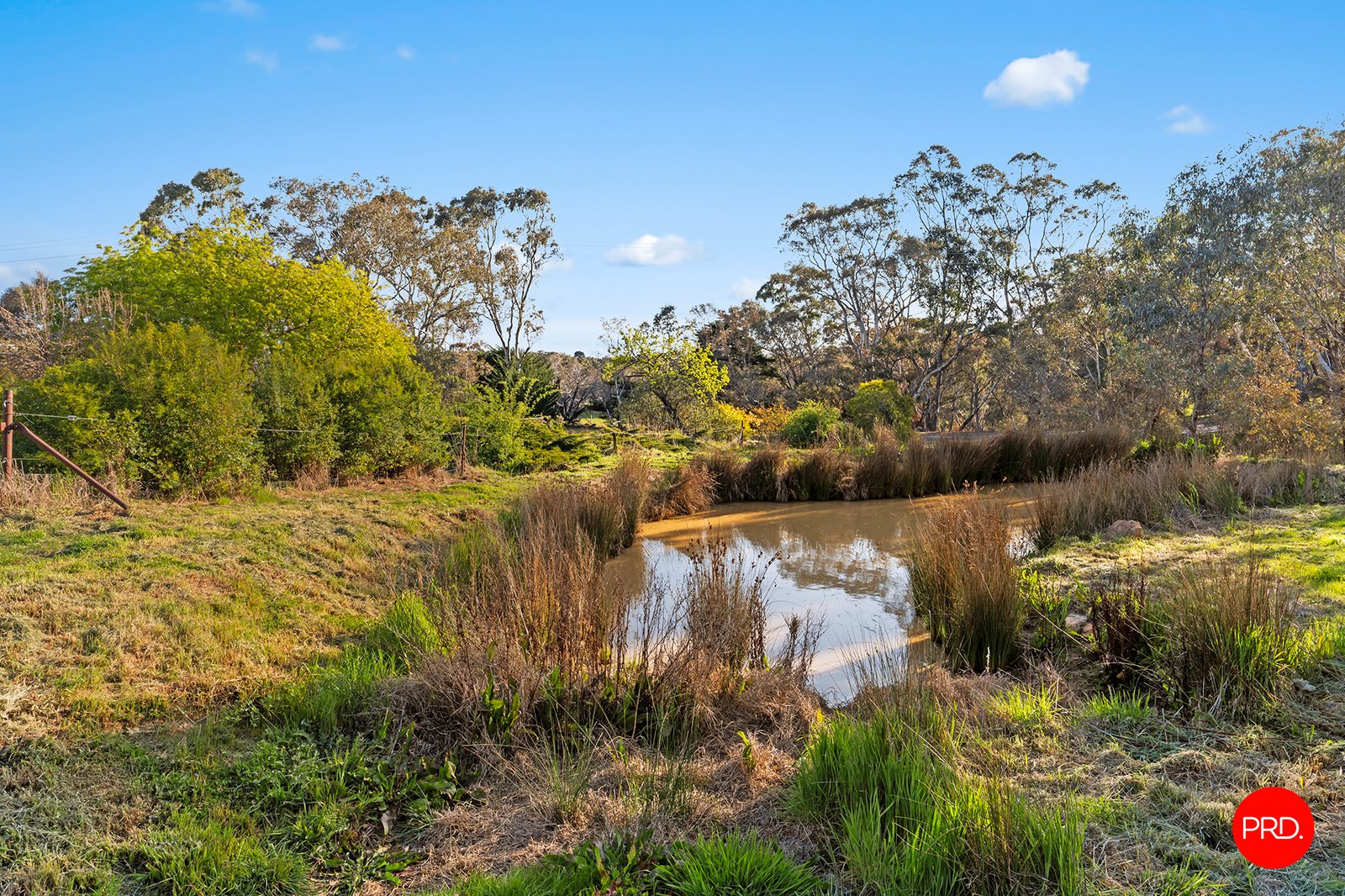 630 Calder Alternative Highway LOCKWOOD SOUTH 22