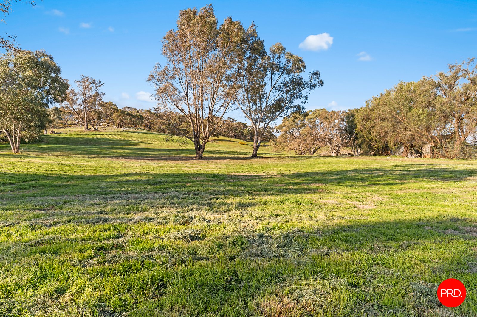 630 Calder Alternative Highway LOCKWOOD SOUTH 24