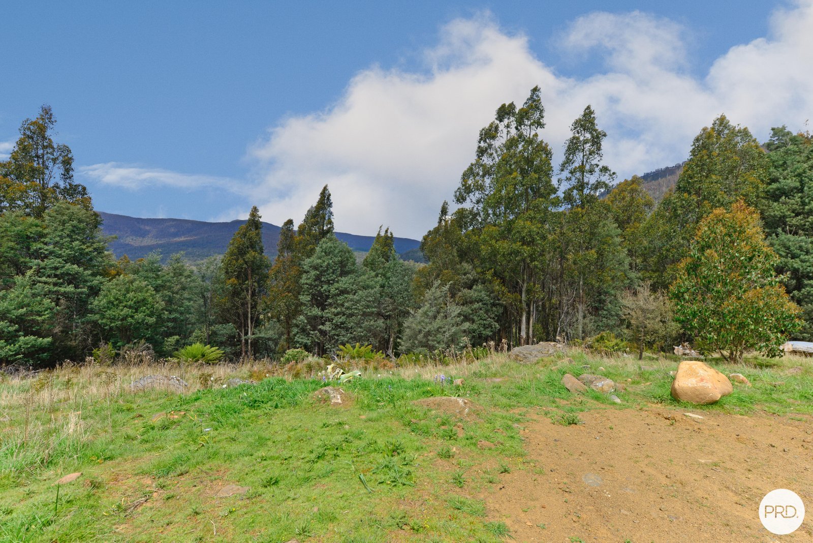 631 Lower Swamp Road LACHLAN 19
