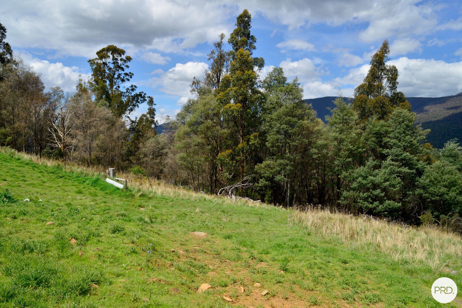631 Lower Swamp Road LACHLAN 26