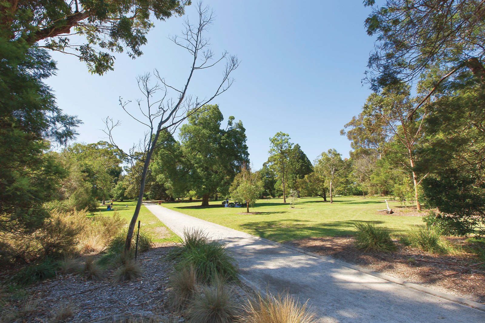 6/33 Dickens Street, Elwood, VIC