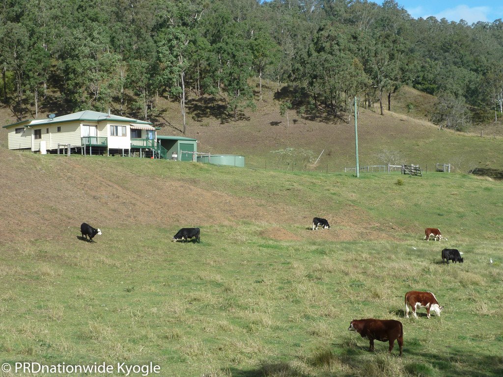 6339 Kyogle Road KYOGLE 1