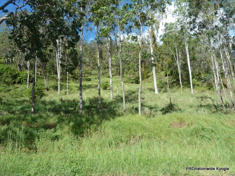6339 Kyogle Road KYOGLE 17