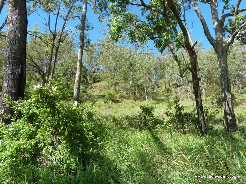 6339 Kyogle Road KYOGLE 18