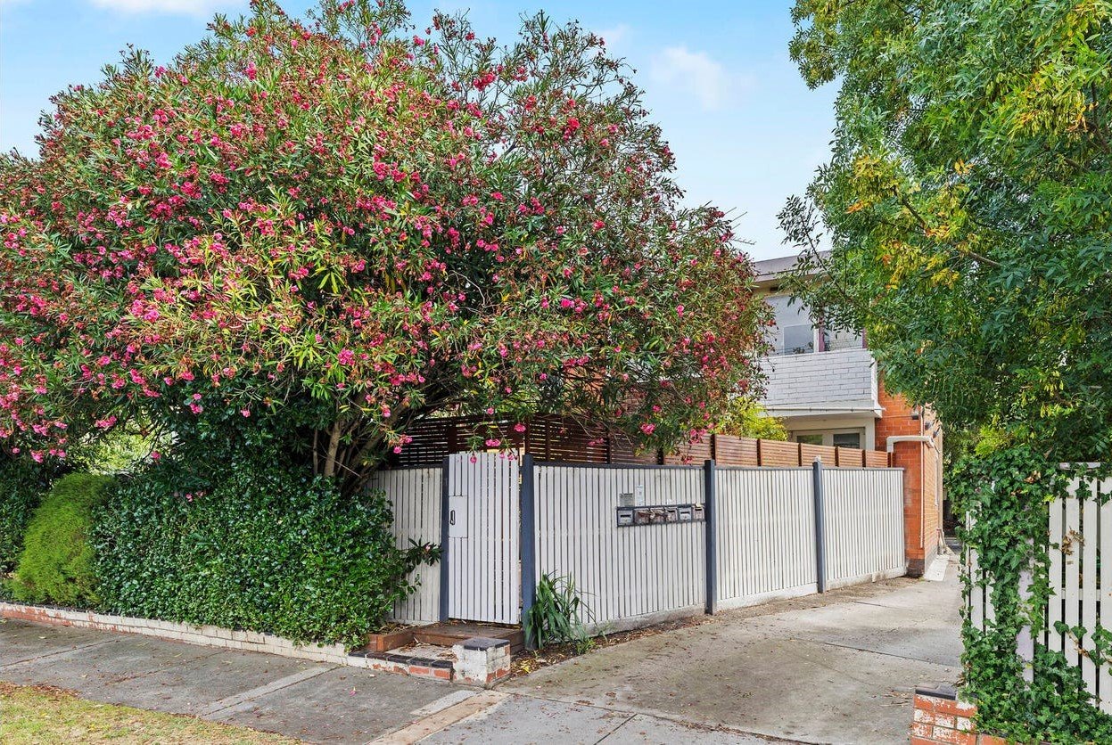 Gallery: 6/33A Brownfield Street