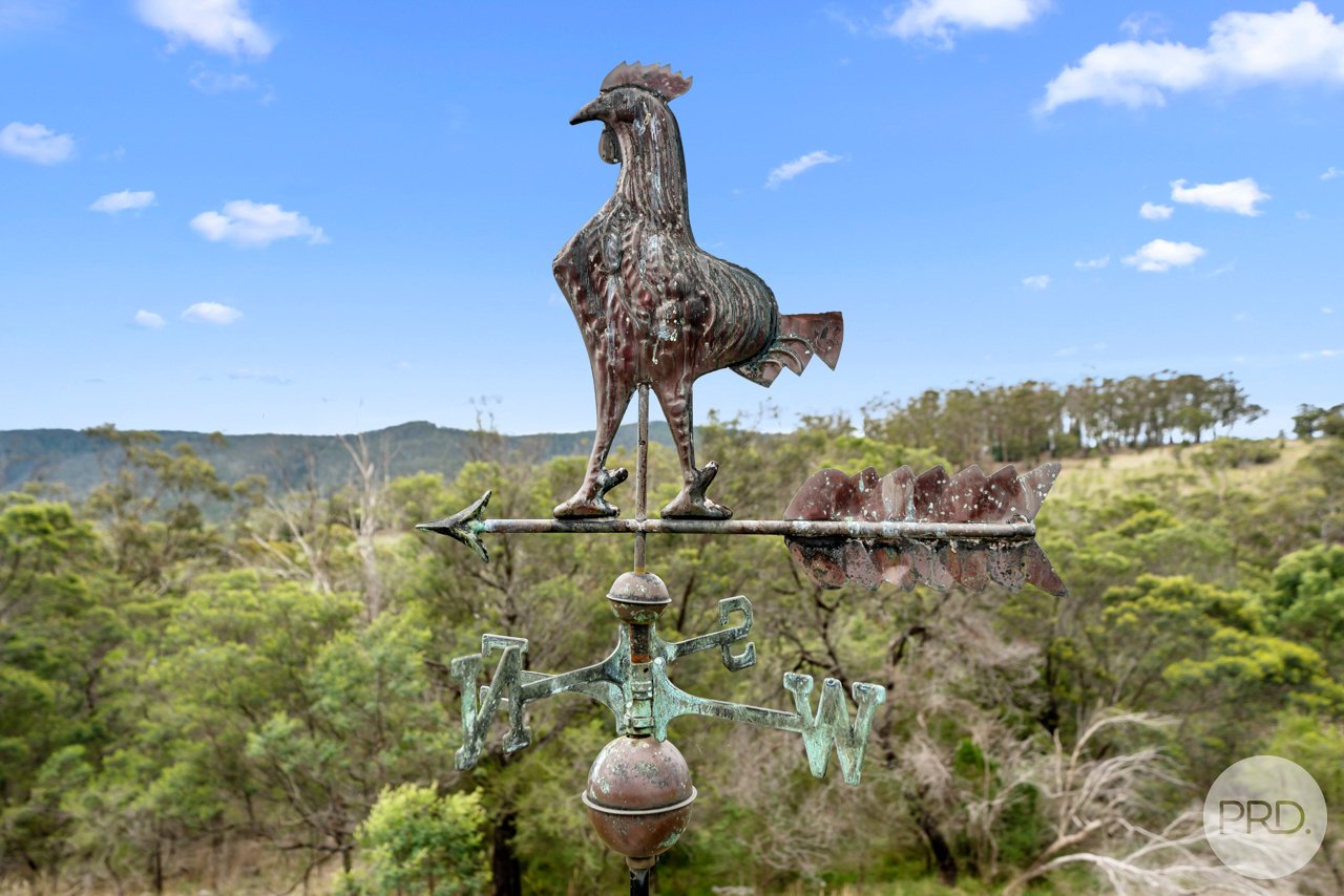 637 Delmore Road WATTLE HILL 17