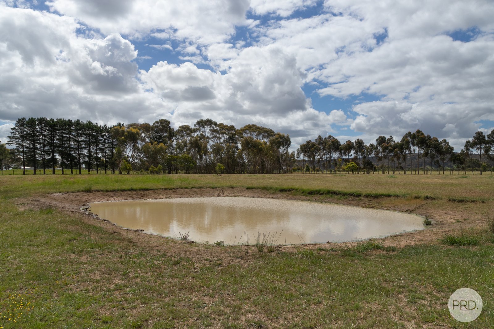 64 Exchequer Road CAPE CLEAR 14