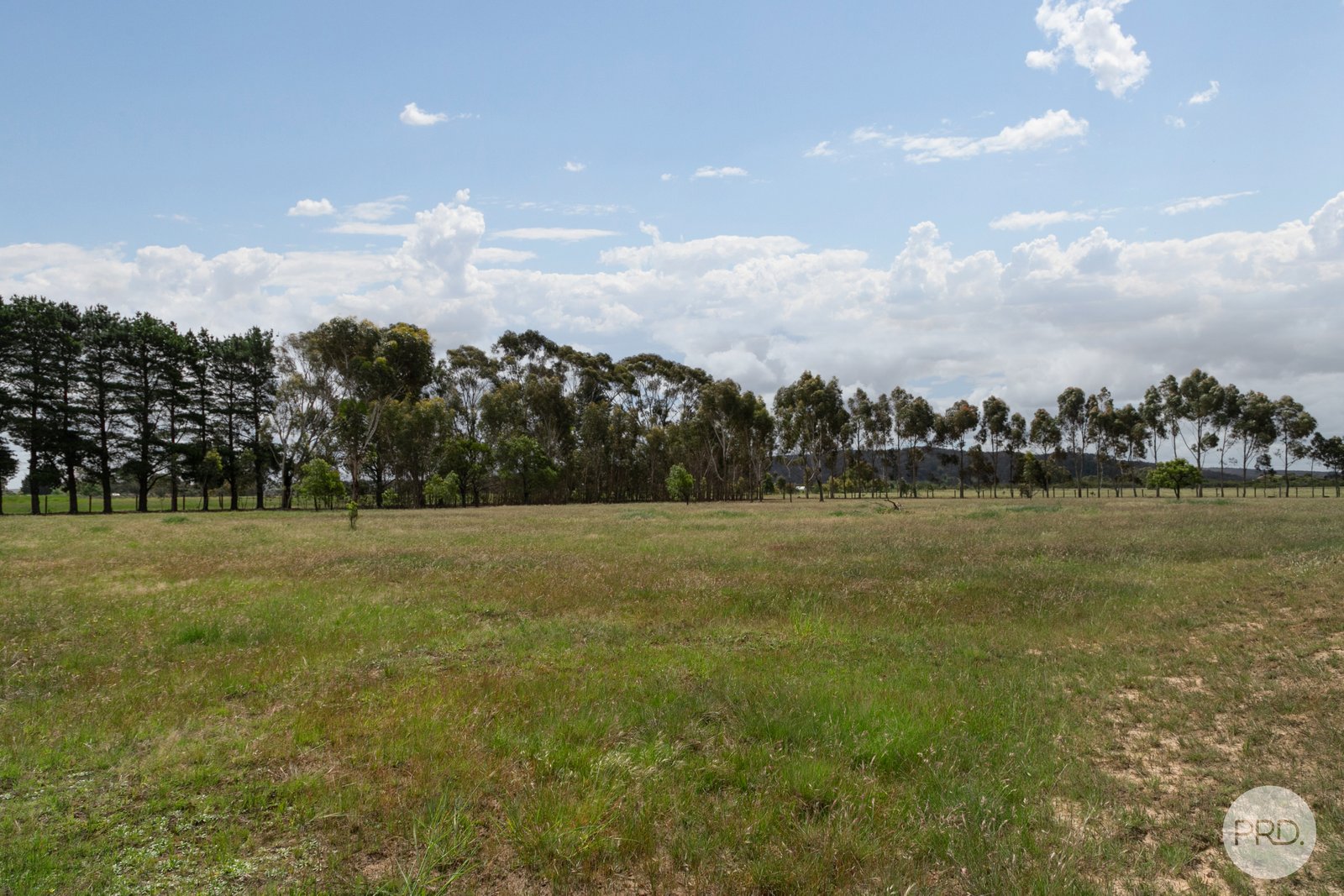 64 Exchequer Road CAPE CLEAR 18