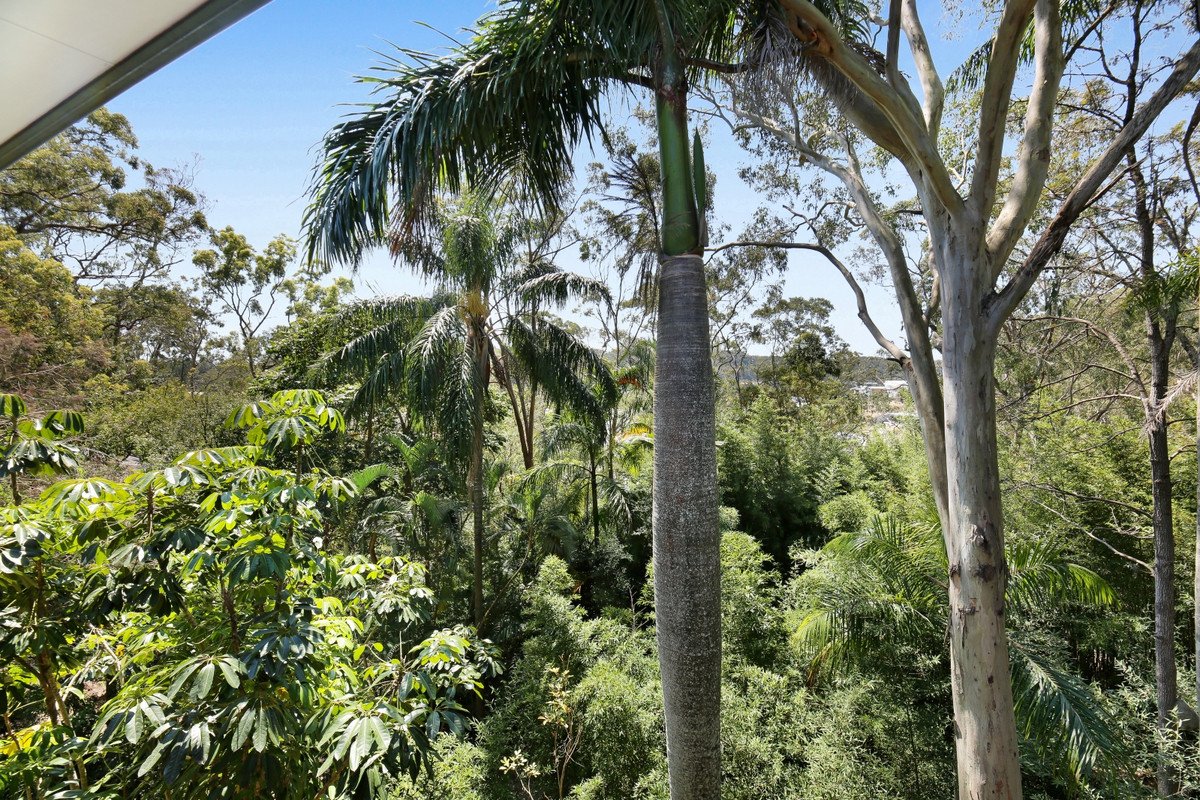 64 Fenton Drive Tallebudgera 19