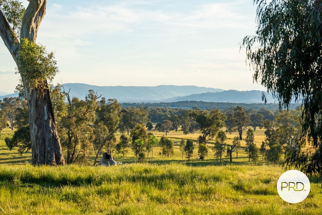 64 Jas Bell Drive TABLE TOP 6