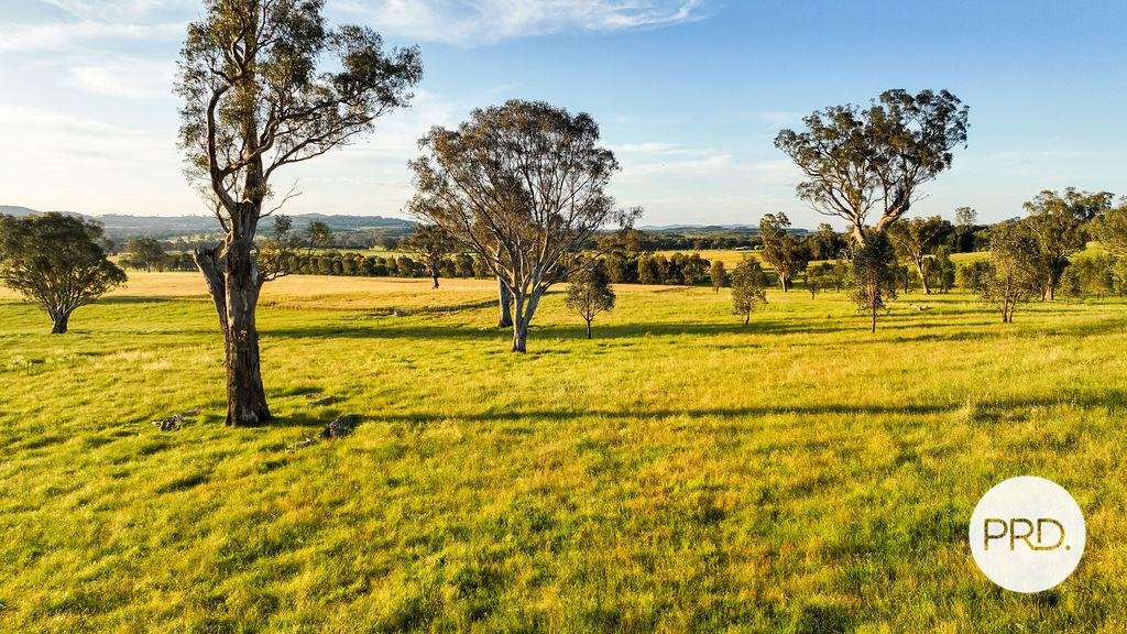 64 Jas Bell Drive TABLE TOP 11