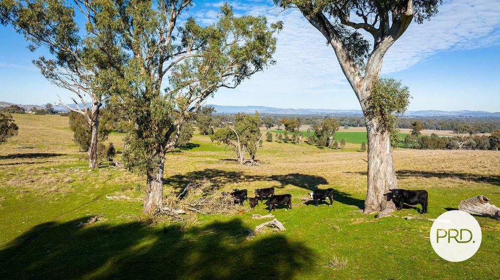 64 Jas Bell Drive TABLE TOP 15