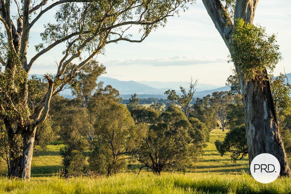 64 Jas Bell Drive TABLE TOP 17