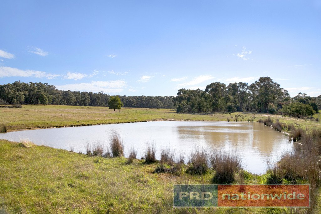 64 Kelly Lane SNAKE VALLEY 17