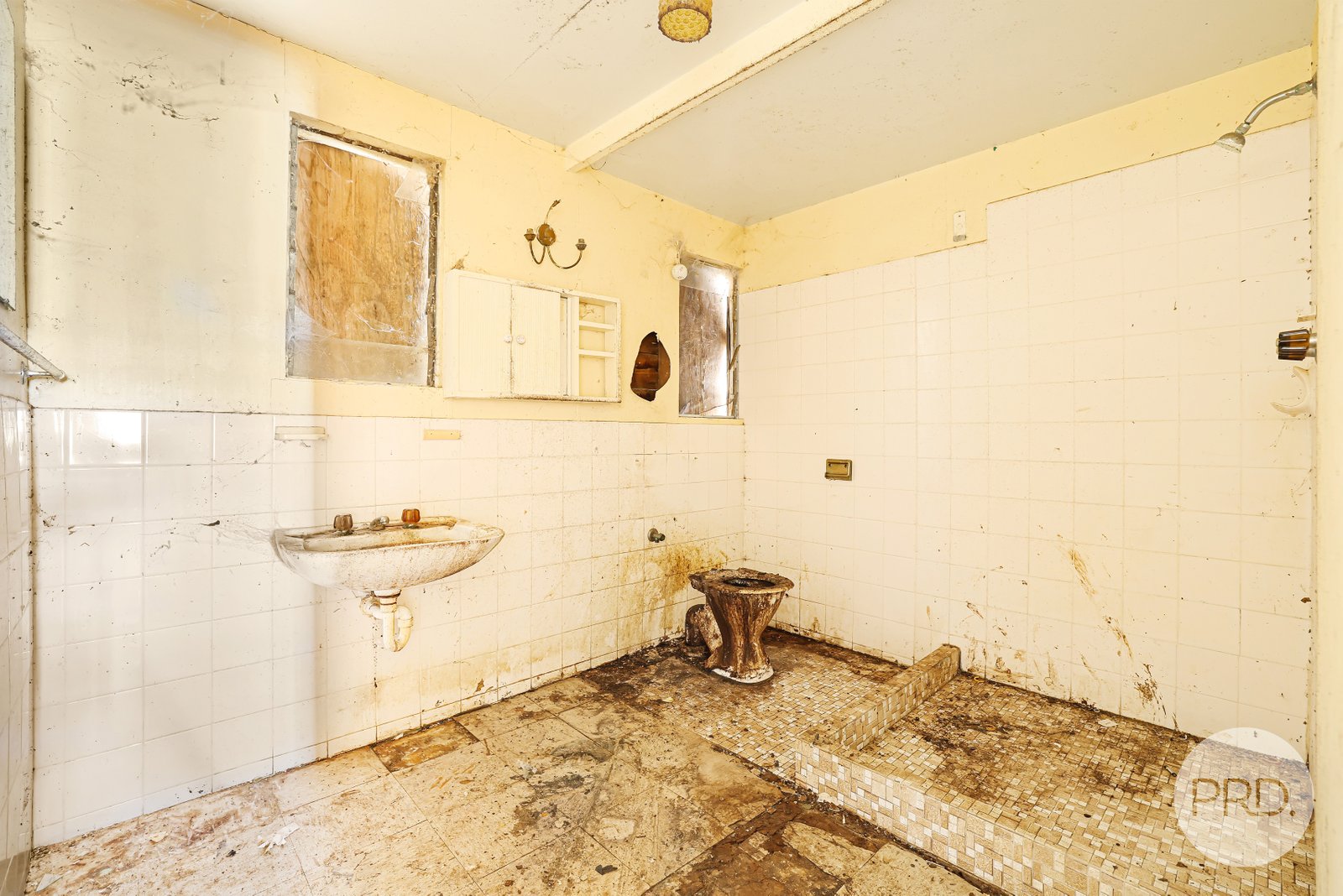 64 Learmonth Street WILLOW TREE 12