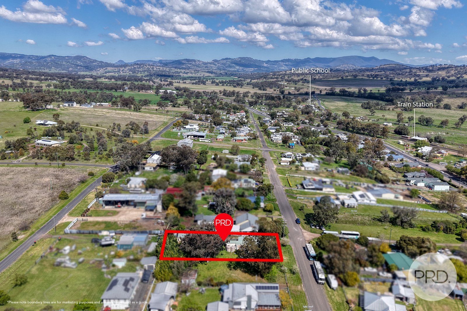 64 Learmonth Street WILLOW TREE 25
