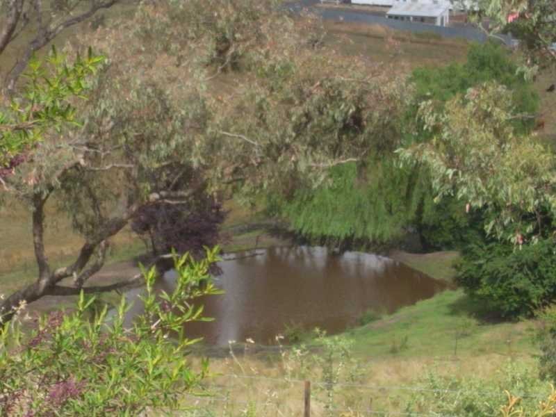 64 Power Street TUMBARUMBA 14